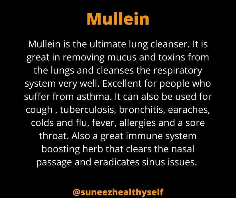 Mullein