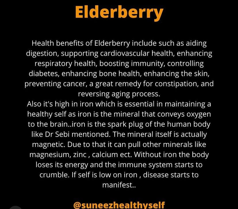 Elderberry