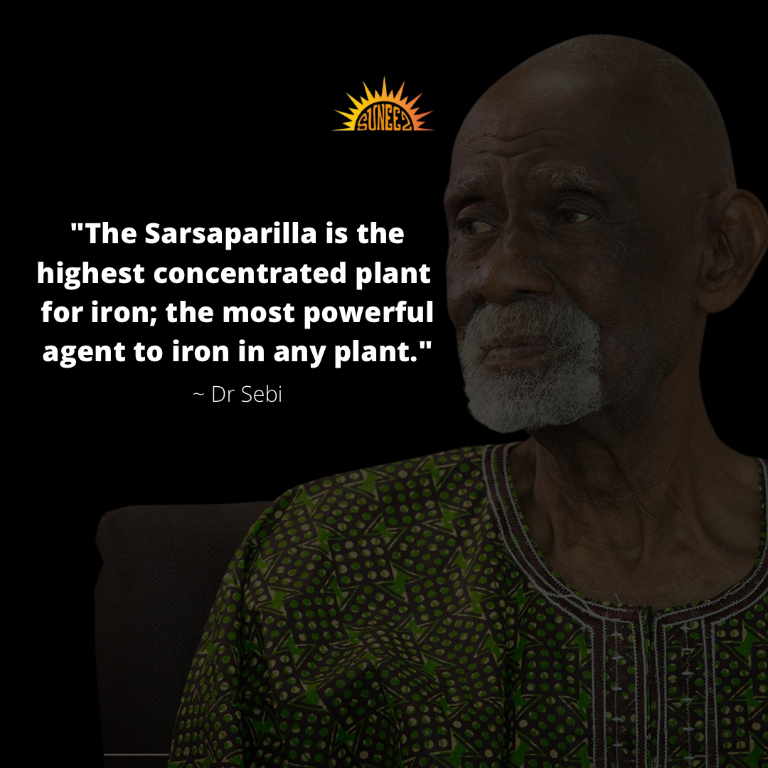 Jamaican Sarsaparilla Root (Cut & Sifted)