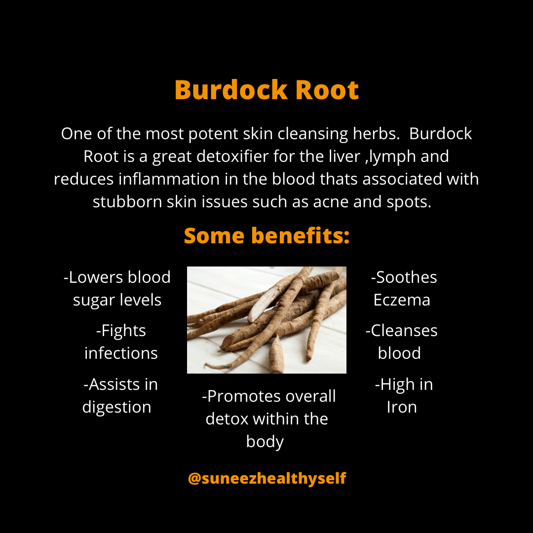 Burdock Root