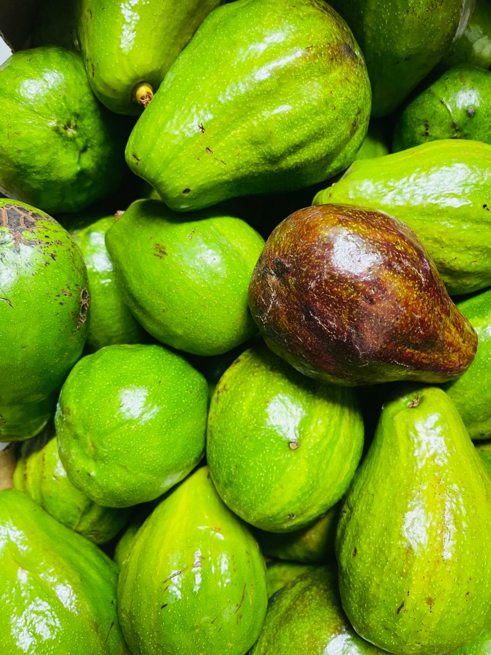 Pear Avocado