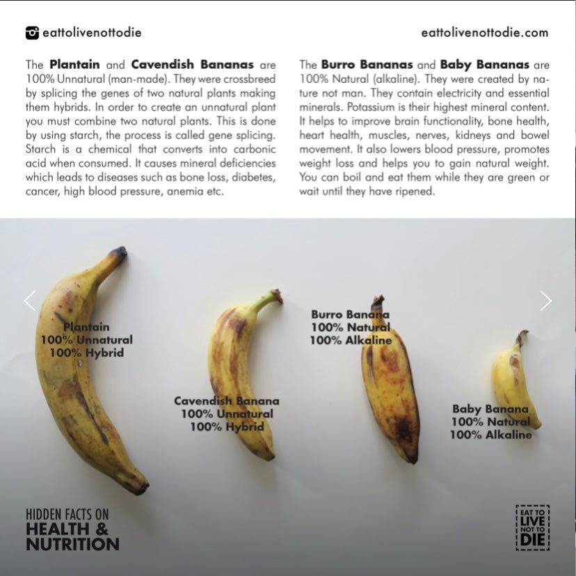 Bluggoe Banana