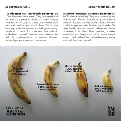 Bluggoe Banana