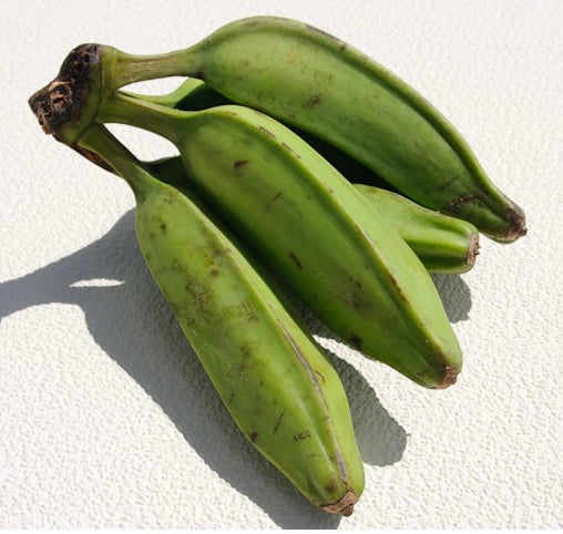 Bluggoe Banana