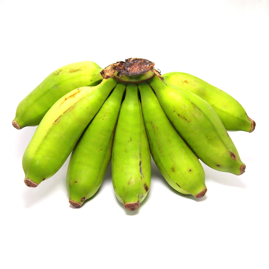 Baby Bananas
