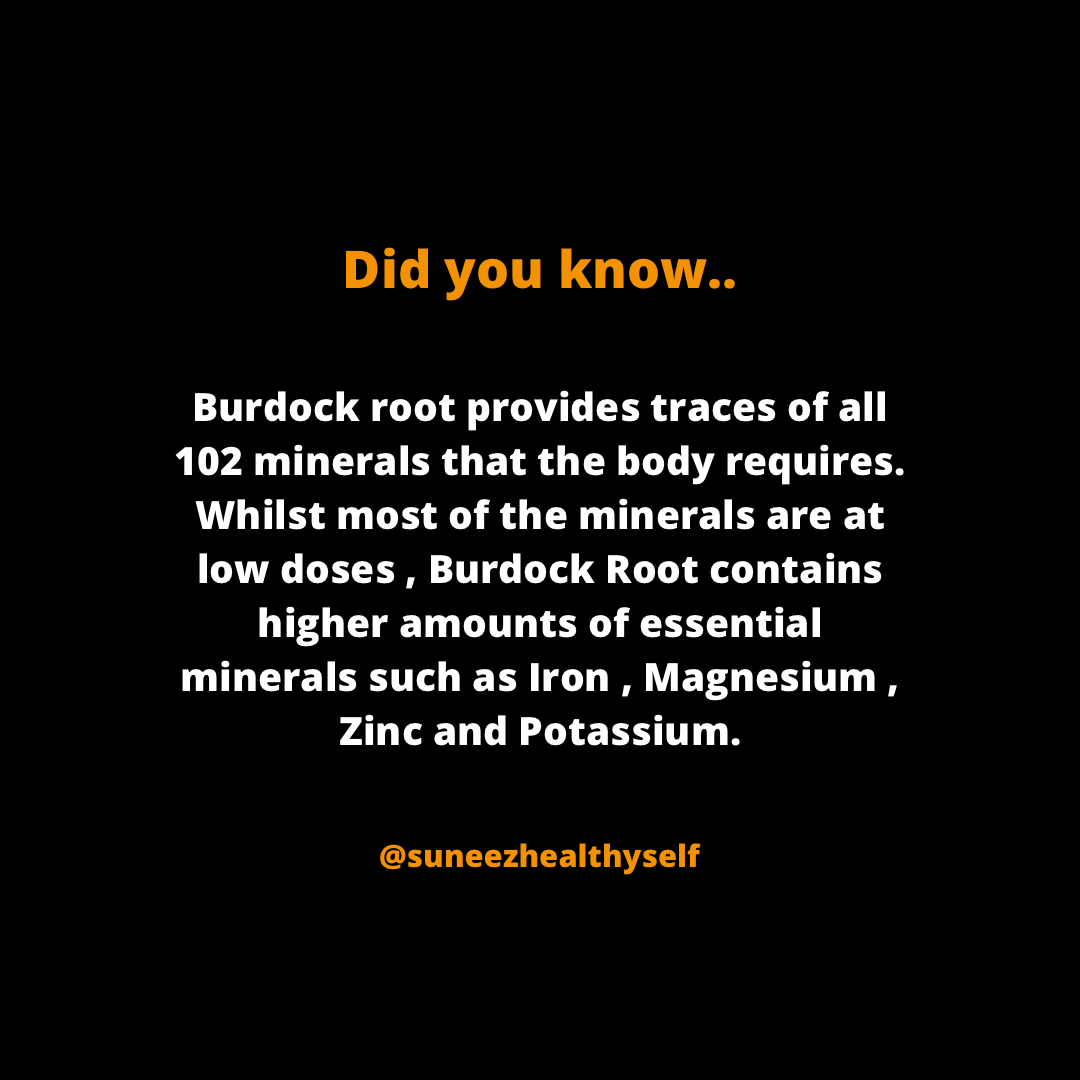 Burdock Root