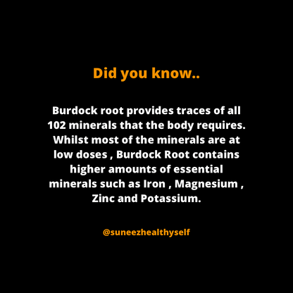 Burdock Root